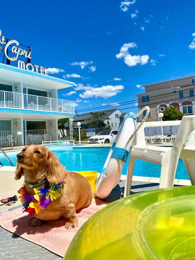 Isle Of Capri Motel North Wildwood Eksteriør billede